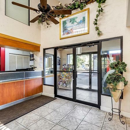 Econo Lodge Palm Harbor - Clearwater Dış mekan fotoğraf