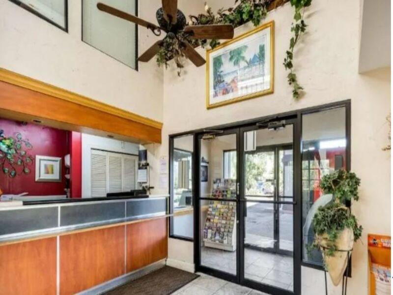 Econo Lodge Palm Harbor - Clearwater Dış mekan fotoğraf