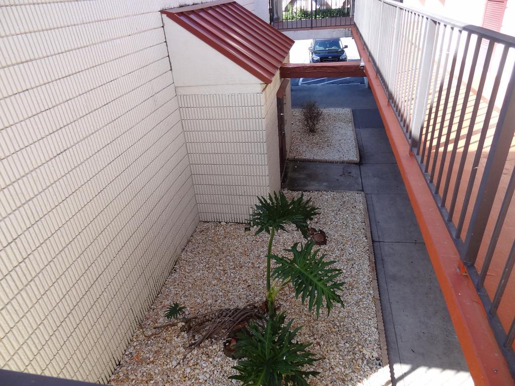 Econo Lodge Palm Harbor - Clearwater Dış mekan fotoğraf