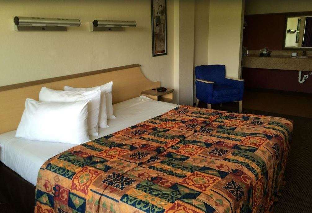 Econo Lodge Palm Harbor - Clearwater Oda fotoğraf
